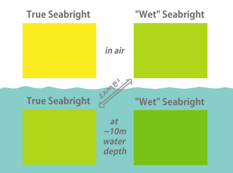 an explanation of the colour seabright. it is shown as it appears in air and in roughly 10m underwater. the perceptual version that simulates the colour of true seabright's hue at ~10m for in-air vision is called 'wet seabright'